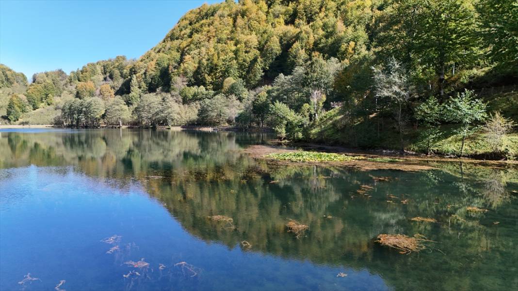 Sonbahar renkleriyle büyüleyen ünlü park rekora koşuyor 11